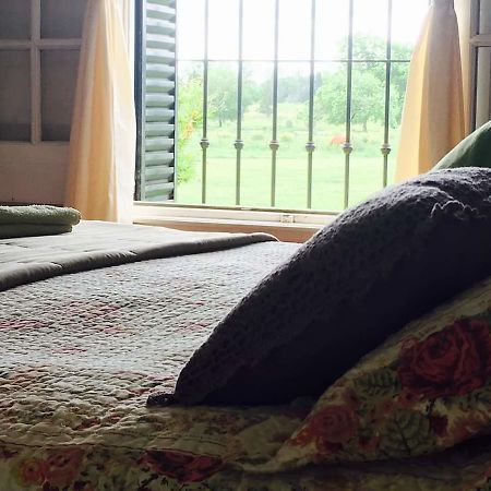 The Polo House Bed & Breakfast Pilar  Ngoại thất bức ảnh
